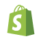 Shopify Website Hosting